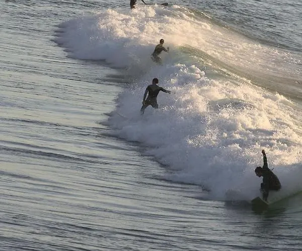 - Terrasse & Piscine