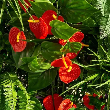 Plage, Piscine, Terrasse Vue Ville Au Coeur De Biarritz Pour Vacances, Teletravail, Sport, Culture, *
