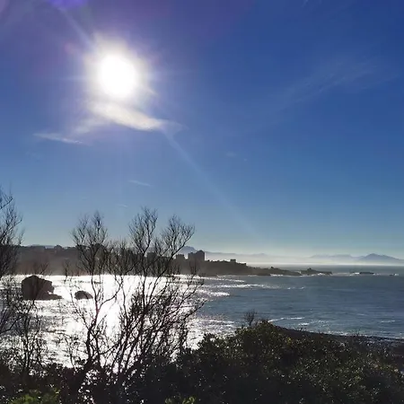 アパート Plage, Piscine, Terrasse Vue Ville Au Coeur De Biarritz Pour Vacances, Teletravail, Sport, Culture, *