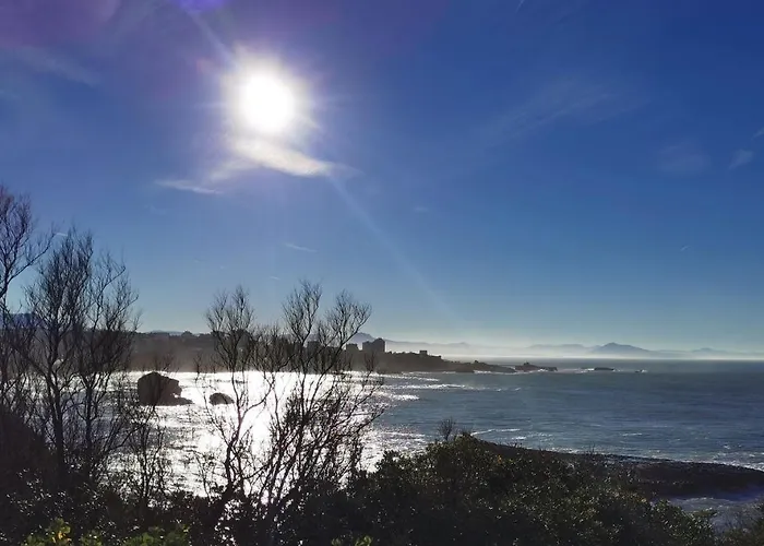 公寓 Biarritz Plage - Terrasse & Piscine Residence *